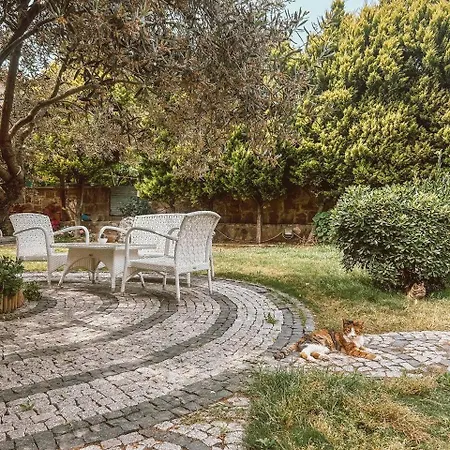 Hotel Eden Selene 2*