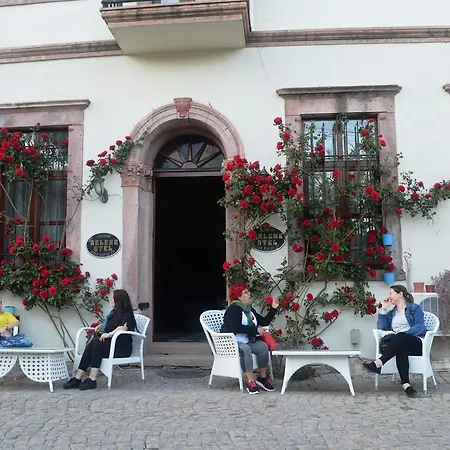 Hotel Eden Selene 2*