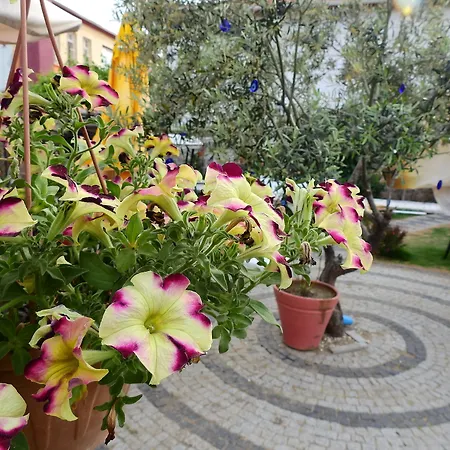 Eden Selene Hotel