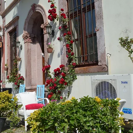 Cunda Selene Otel 2* Ayvalı