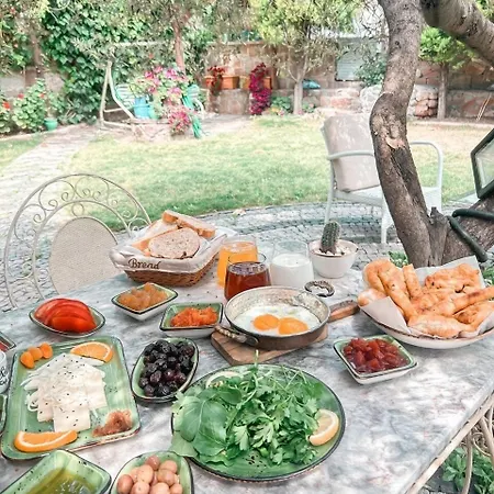 Eden Selene Ayvalı